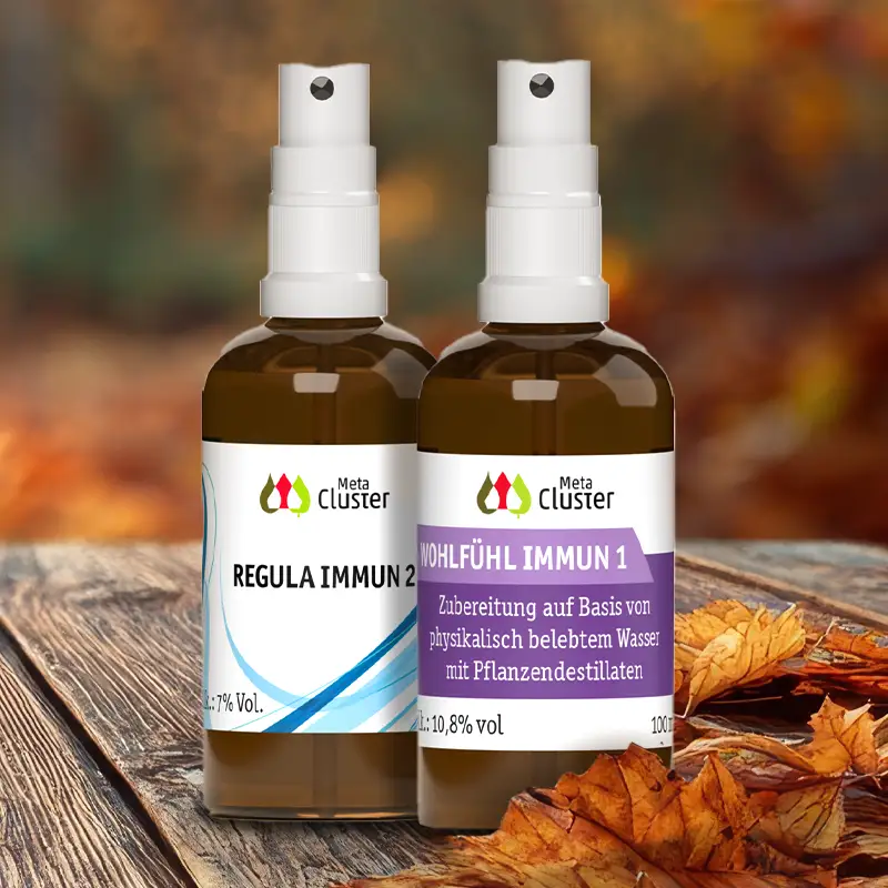 angebot_oktober